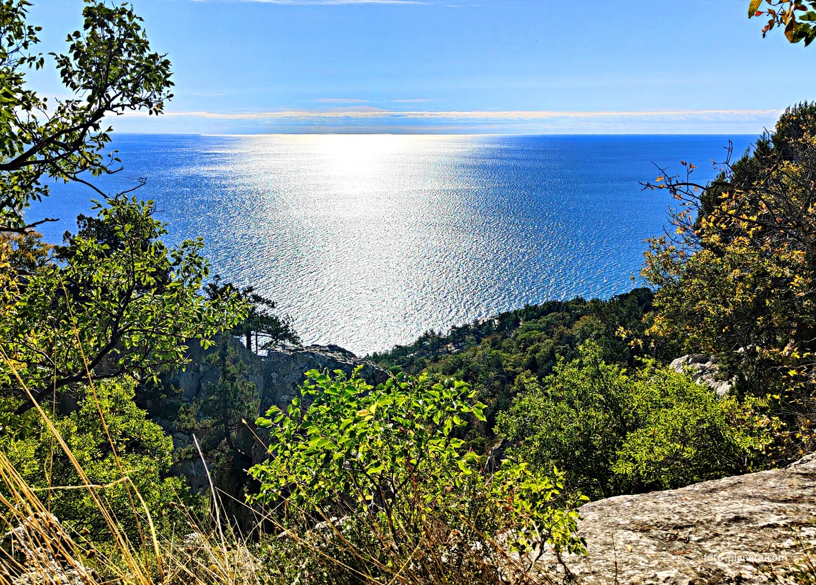 На горе Урьянда (Крестовая).  Вид на горные заросли и Черноморскую акваторию у посёлка.