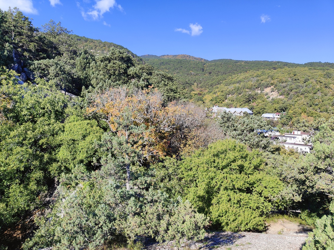 На горе Урьянда (Крестовая).  Вид на горные заросли и застройку посёлка.