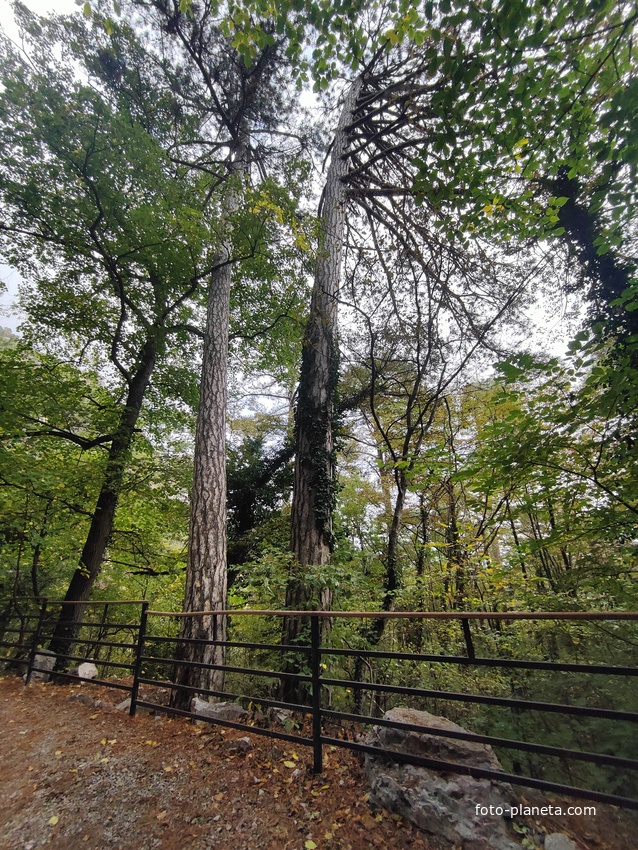 Воль тропы к водопаду Уча́н-Су́ на территории Ялтинского государственного горно-лесного заповедника.