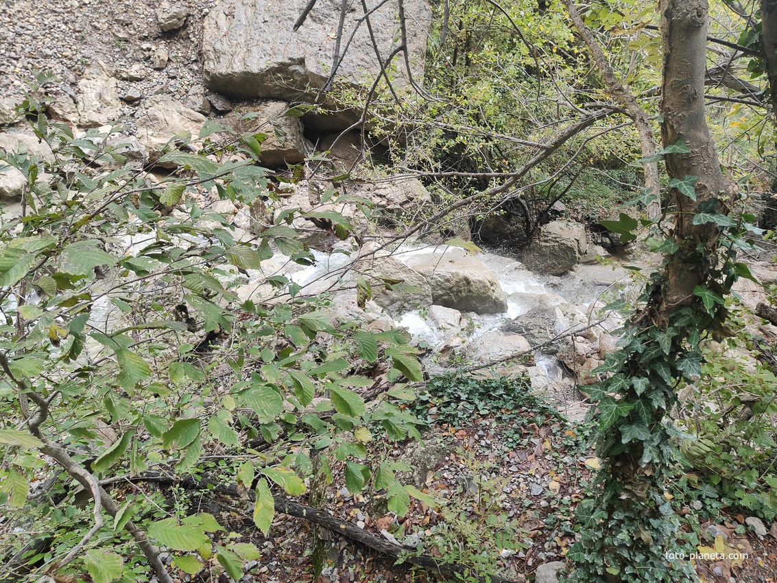 У водопада Уча́н-Су́ на территории Ялтинского государственного горно-лесного заповедника. Ниже - река Водопадная.
