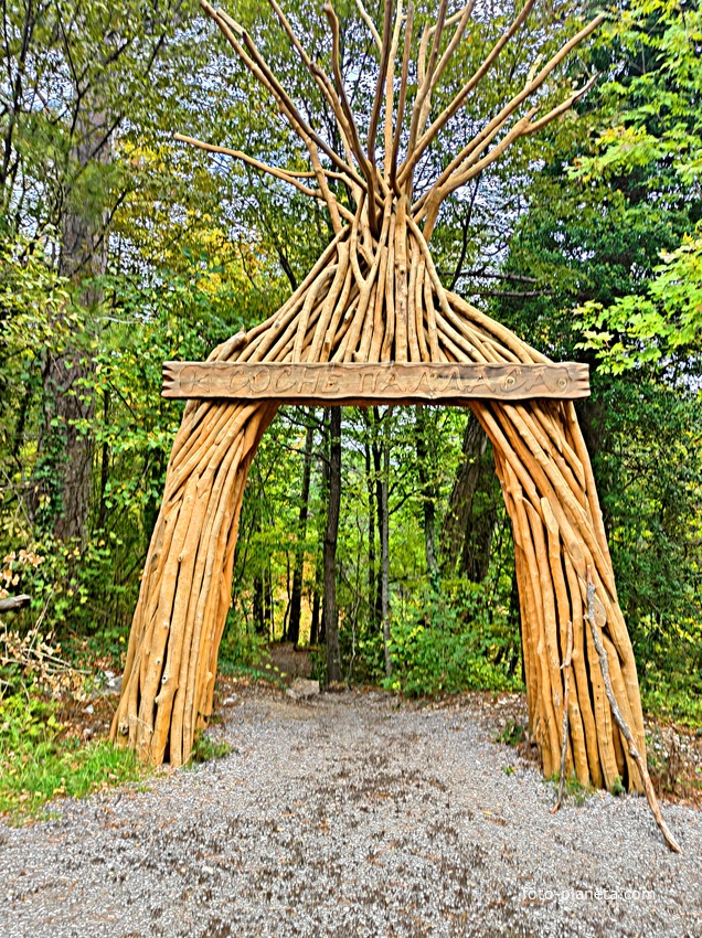 Начало тропы от Бахчисарайского шоссе к сосне Палласа - историч. и биологич. памятнику природы на терр. Ялтинского горно-лесного заповедника. Дерево растёт на южных отрогах плато Ай-Петри и считается одним из древнейших ныне живущих деревьев Крыма.