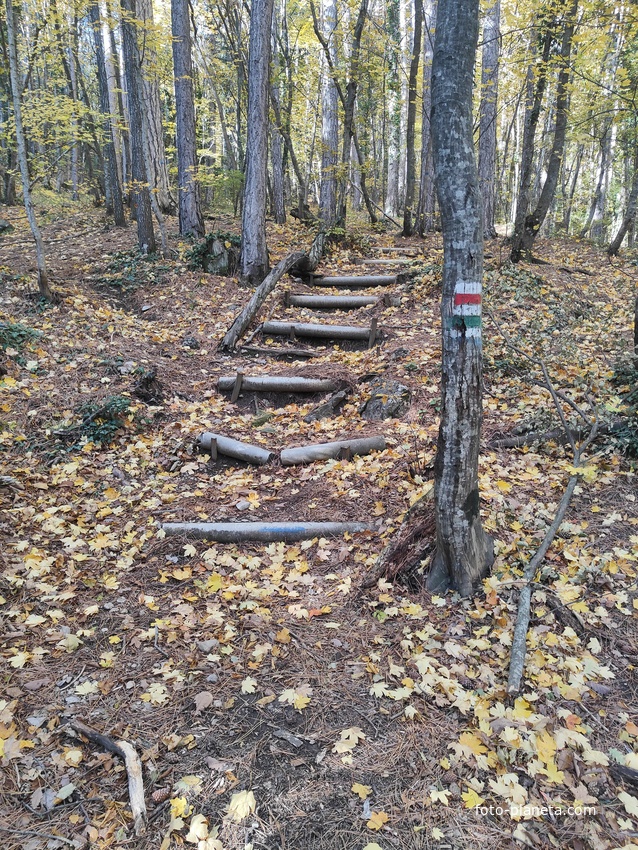 Пешеходный экологический маршрут "Штангеевская тропа" на территории Ялтинского горно-лесного заповедника.