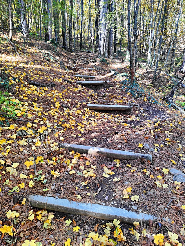Пешеходный экологический маршрут "Штангеевская тропа" на территории Ялтинского горно-лесного заповедника.