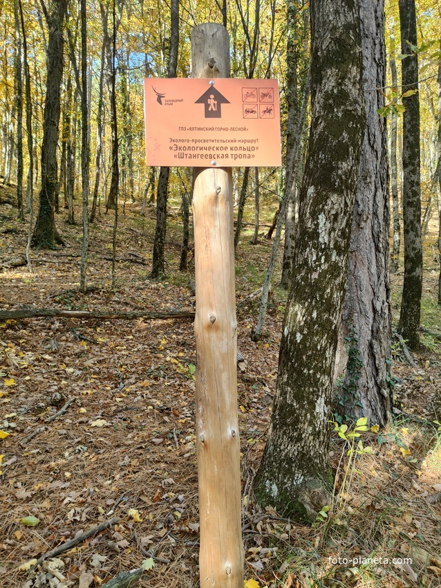 Пешеходный экологический маршрут "Штангеевская тропа" на территории Ялтинского горно-лесного заповедника. Информационная табличка "Экологическое кольцо" "Штангеевская тропа".