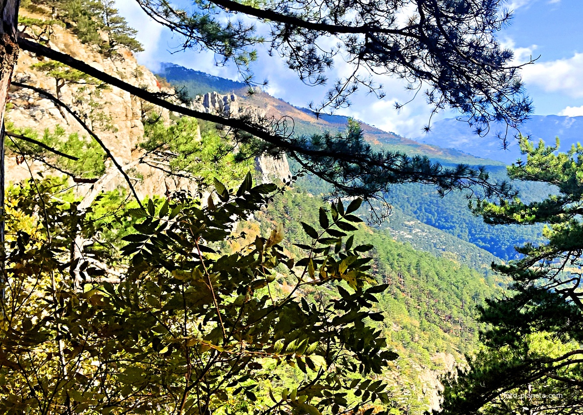 Вдоль экологического маршрута "Штангеевская тропа" на территории Ялтинского горно-лесного заповедника. Вдали - утёс Ставри-Кая.