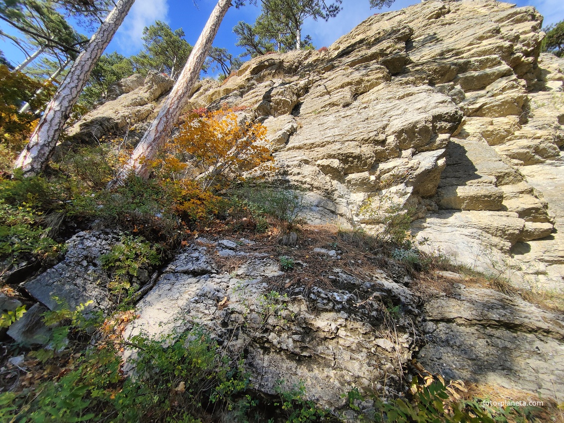 Вдоль экологического маршрута "Штангеевская тропа" на территории Ялтинского горно-лесного заповедника.