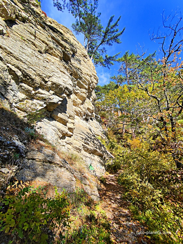 Вдоль экологического маршрута "Штангеевская тропа" на территории Ялтинского горно-лесного заповедника.
