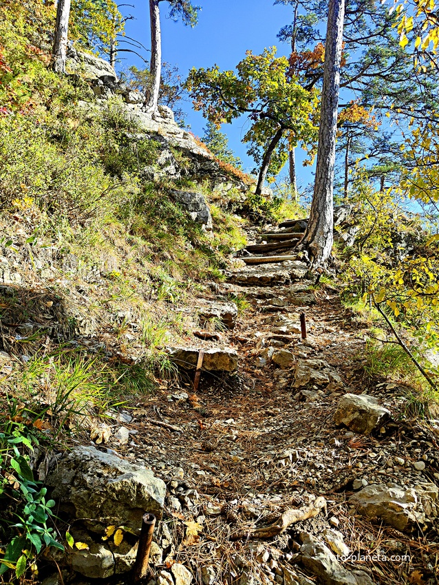 Пешеходный экологический маршрут "Штангеевская тропа" на территории Ялтинского горно-лесного заповедника.