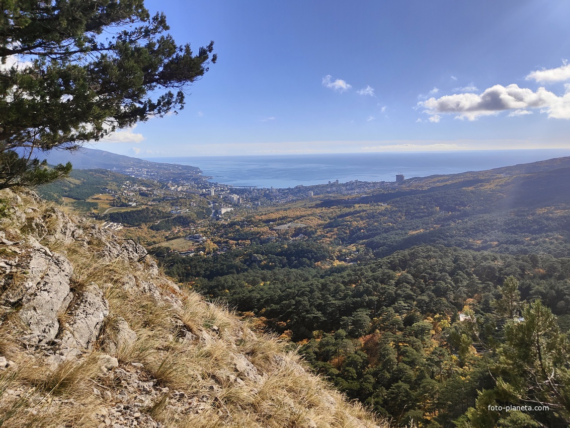 Вдоль экологического маршрута "Штангеевская тропа" на территории Ялтинского горно-лесного заповедника.
