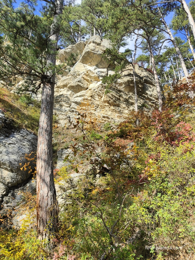 Вдоль экологического маршрута "Штангеевская тропа" на территории Ялтинского горно-лесного заповедника.