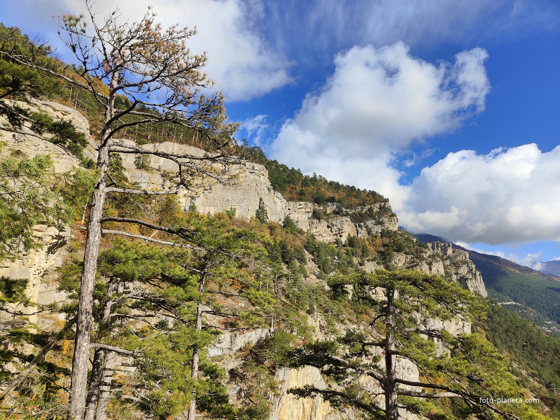 Вдоль экологического маршрута "Штангеевская тропа" на территории Ялтинского горно-лесного заповедника. Слева - скалистый обрыв южного склона Ялтинской яйлы.