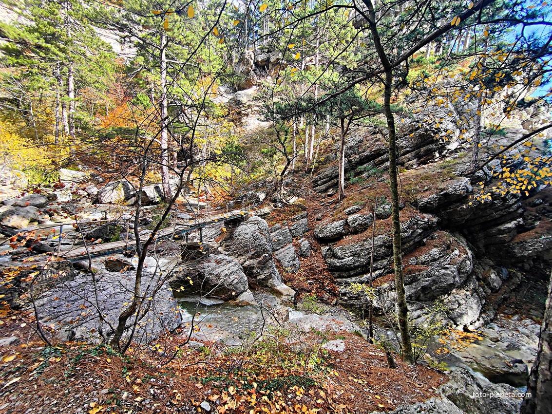 Пешеходный экологический маршрут "Штангеевская тропа" на территории Ялтинского горно-лесного заповедника. Мост через реку Водопадная.
