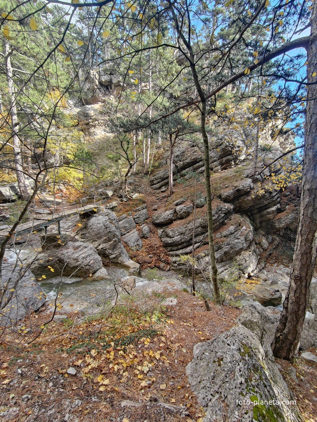 Пешеходный экологический маршрут "Штангеевская тропа" на территории Ялтинского горно-лесного заповедника. Мост через реку Водопадная.