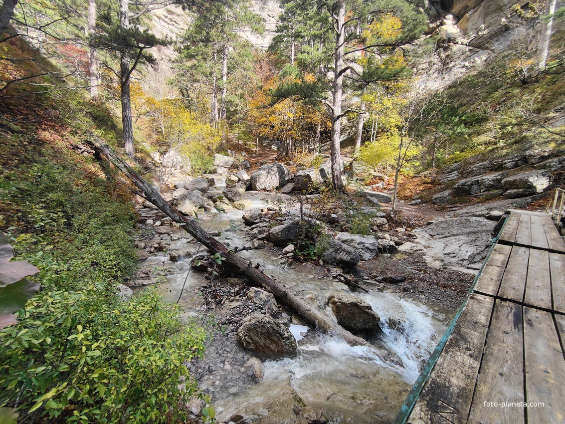 Пешеходный экологический маршрут "Штангеевская тропа" на территории Ялтинского горно-лесного заповедника. Мост через реку Водопадная.