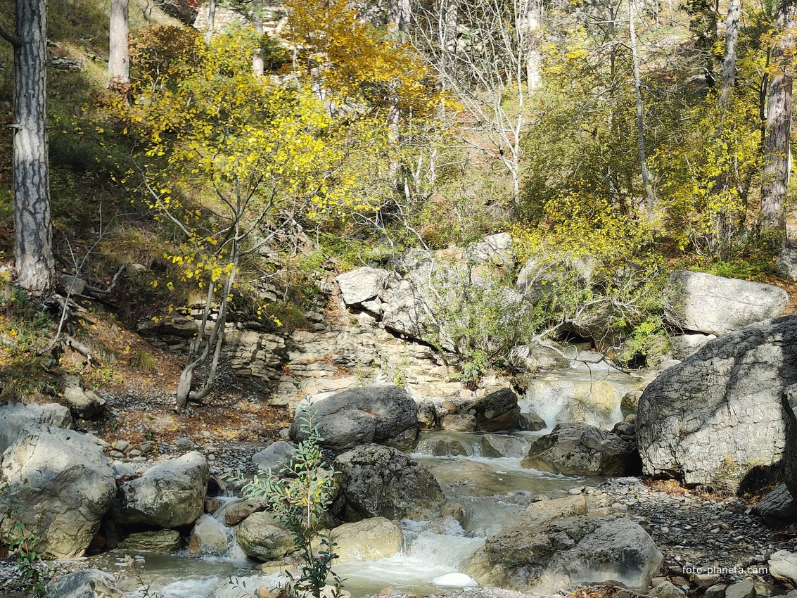 Вдоль экологического маршрута "Штангеевская тропа" на территории Ялтинского горно-лесного заповедника. Река Водопадная.