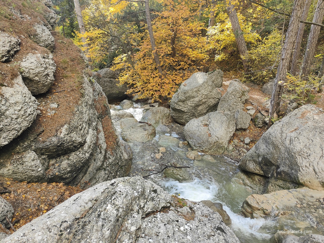 Вдоль экологического маршрута "Штангеевская тропа" на территории Ялтинского горно-лесного заповедника. Река Водопадная.