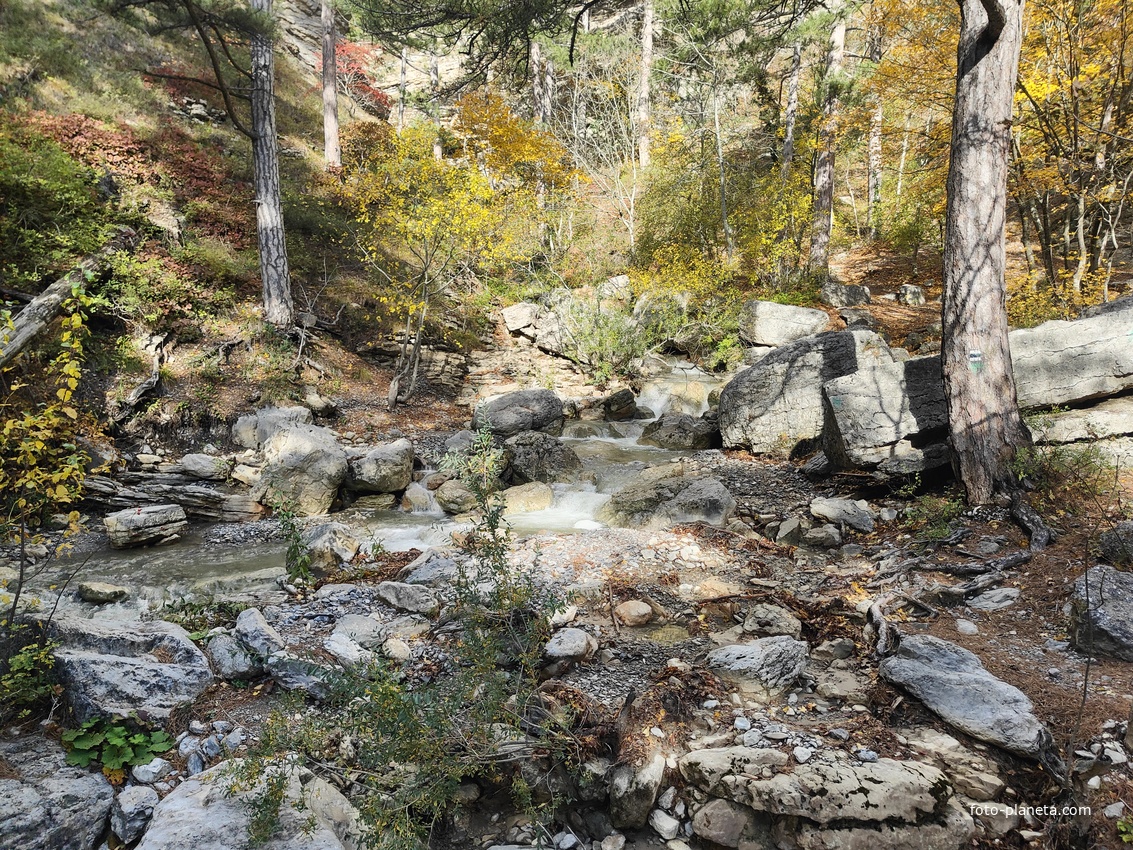 Вдоль экологического маршрута "Штангеевская тропа" на территории Ялтинского горно-лесного заповедника. Река Водопадная.