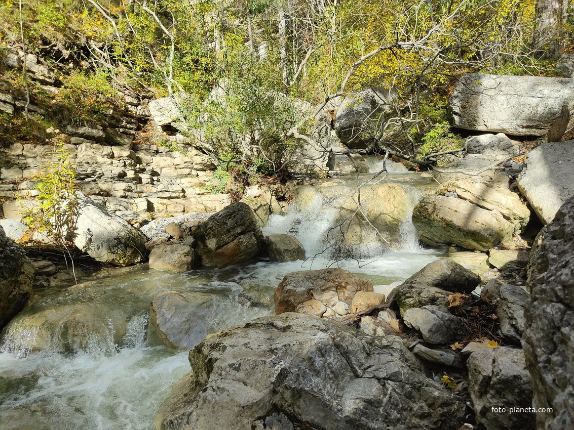 Вдоль экологического маршрута "Штангеевская тропа" на территории Ялтинского горно-лесного заповедника. Река Водопадная.