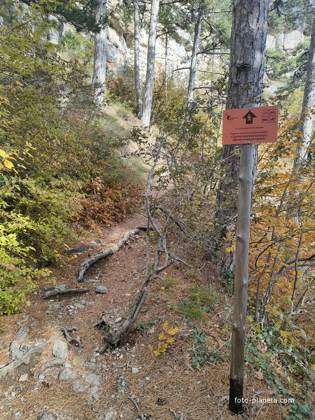 Пешеходный экологический маршрут "Штангеевская тропа" на территории Ялтинского горно-лесного заповедника. Информационная табличка "Экологическое кольцо" "Штангеевская тропа".