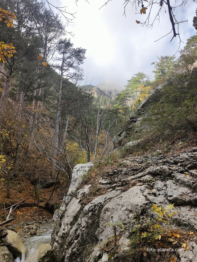 Вдоль экологического маршрута "Штангеевская тропа" на территории Ялтинского горно-лесного заповедника.