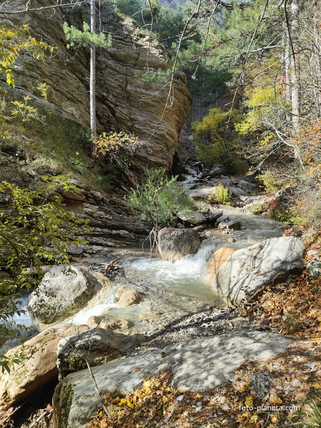 Вдоль экологического маршрута "Штангеевская тропа" на территории Ялтинского горно-лесного заповедника. Река Водопадная.