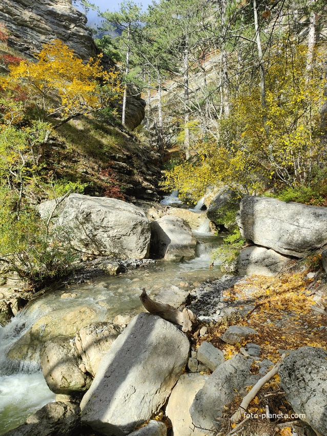 Вдоль экологического маршрута "Штангеевская тропа" на территории Ялтинского горно-лесного заповедника. Река Водопадная.