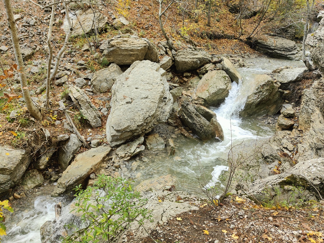 Вдоль экологического маршрута "Штангеевская тропа" на территории Ялтинского горно-лесного заповедника. Река Водопадная.