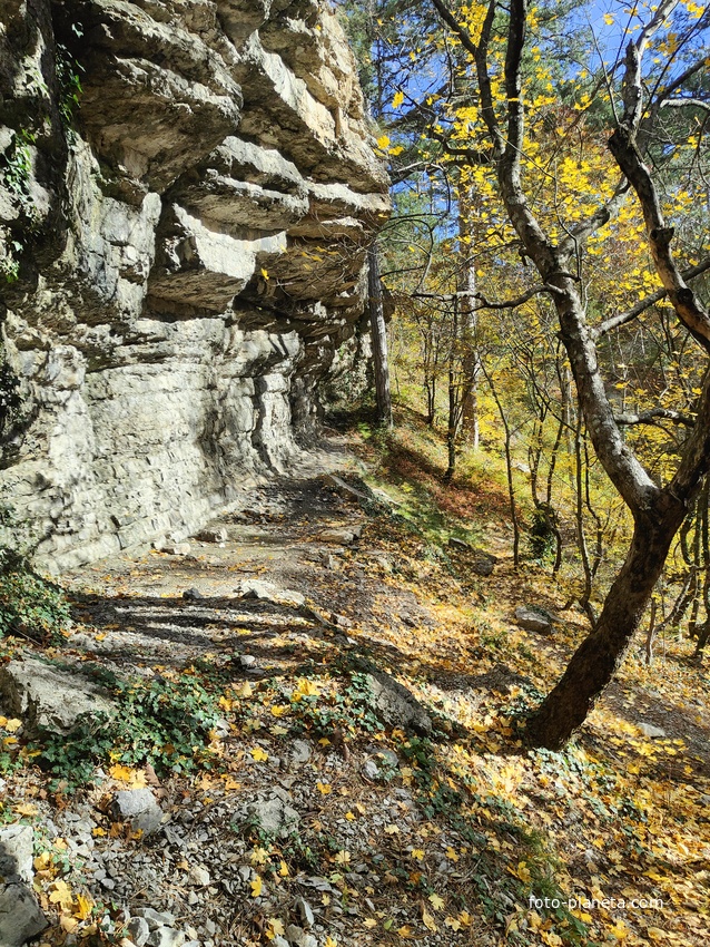 Пешеходный экологический маршрут "Штангеевская тропа" на территории Ялтинского горно-лесного заповедника.