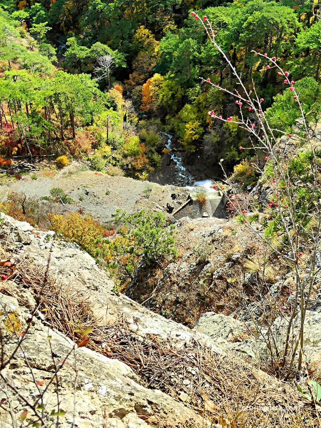 Пешеходный экологический маршрут "Штангеевская тропа" на территории Ялтинского горно-лесного заповедника. Внизу - водопад Учан-Су.