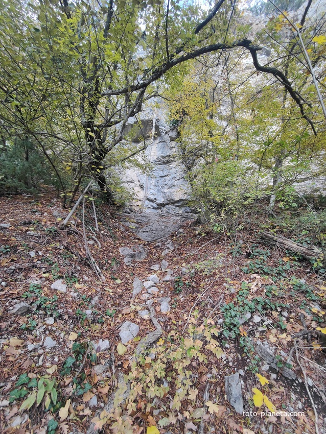 Вдоль экологического маршрута "Штангеевская тропа" на территории Ялтинского горно-лесного заповедника.