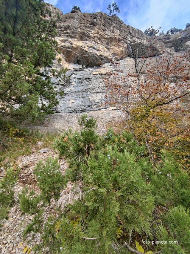 Вдоль экологического маршрута "Штангеевская тропа" на территории Ялтинского горно-лесного заповедника. Слева - скалистый обрыв южного склона Ялтинской яйлы.