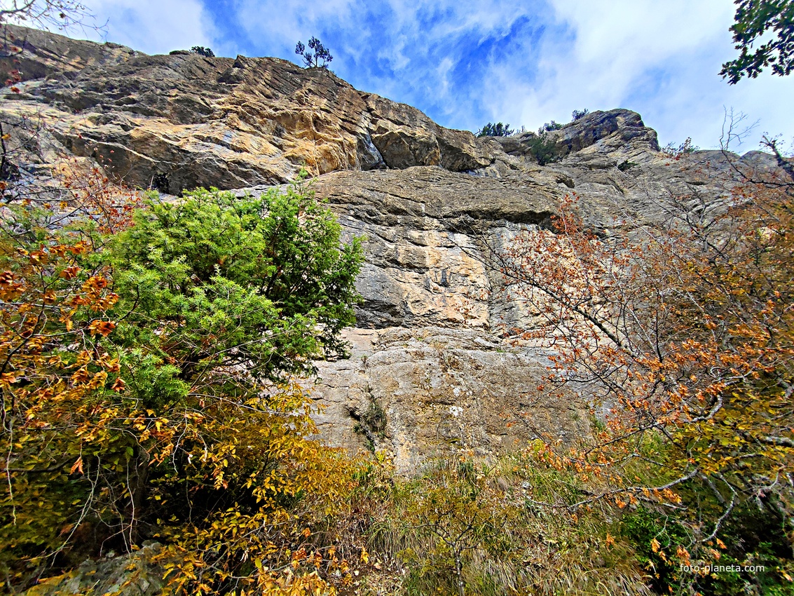 Скалистый обрыв южного склона Ялтинской яйлы вдоль экологического маршрута "Штангеевская тропа" на территории Ялтинского горно-лесного заповедника.