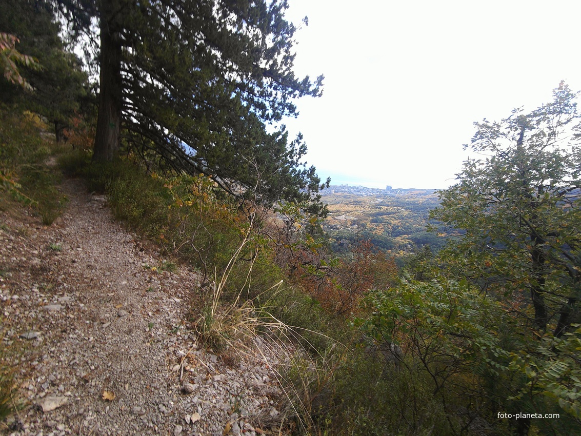 Пешеходный экологический маршрут "Штангеевская тропа" на территории Ялтинского горно-лесного заповедника. Вид в сторону Ялты.