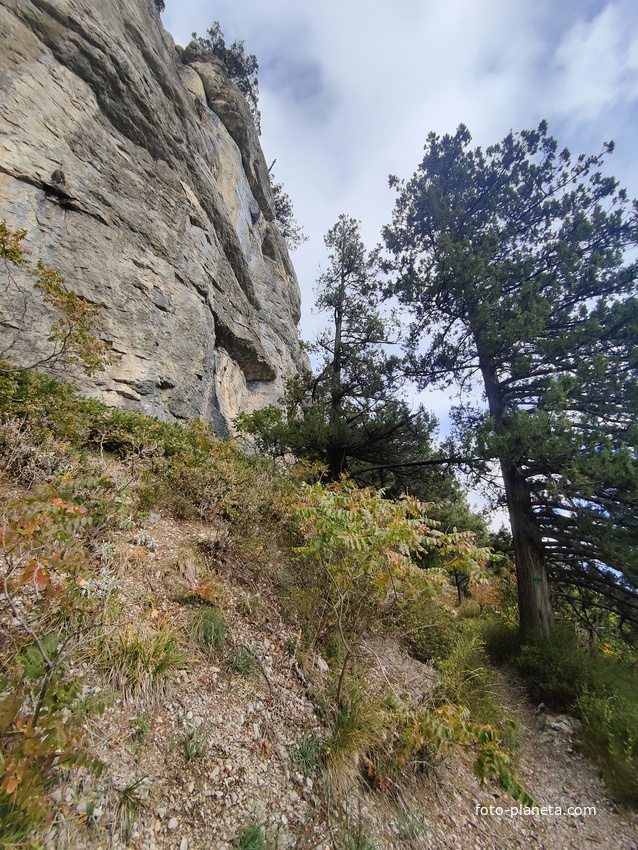 Пешеходный экологический маршрут "Штангеевская тропа" на территории Ялтинского горно-лесного заповедника. Слева - скалистый обрыв южного склона Ялтинской яйлы.
