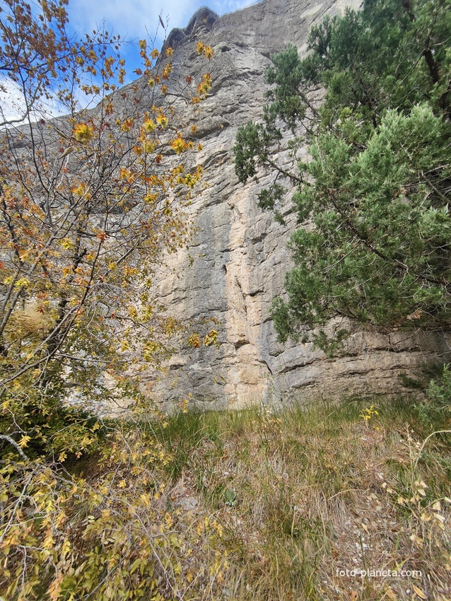 Скалистый обрыв южного склона Ялтинской яйлы вдоль экологического маршрута "Штангеевская тропа" на территории Ялтинского горно-лесного заповедника.