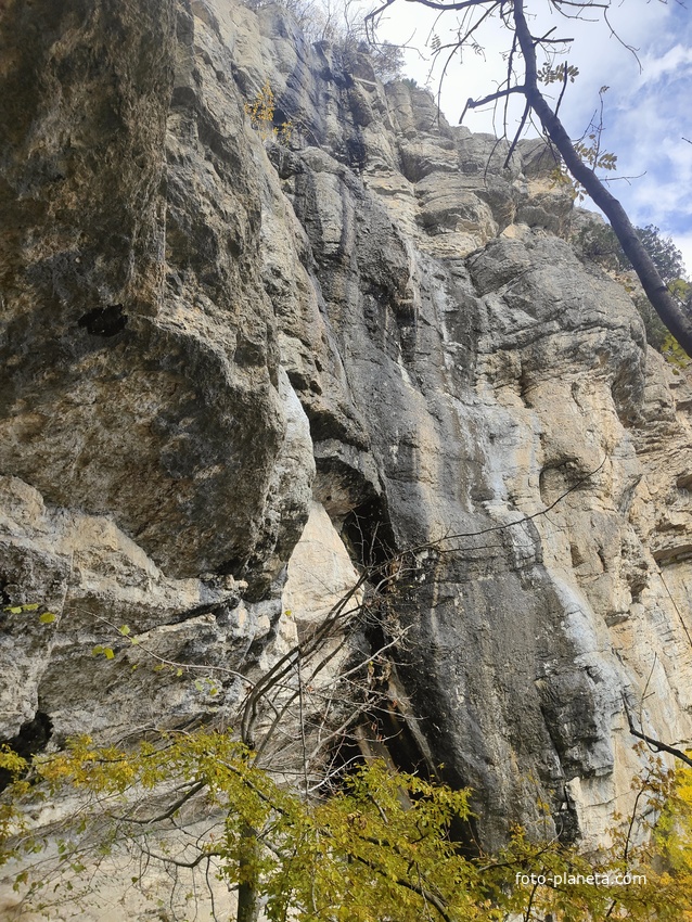 Скалистый обрыв южного склона Ялтинской яйлы вдоль экологического маршрута "Штангеевская тропа" на территории Ялтинского горно-лесного заповедника.