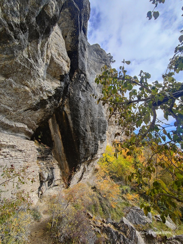 Скалистый обрыв южного склона Ялтинской яйлы вдоль экологического маршрута "Штангеевская тропа" на территории Ялтинского горно-лесного заповедника.