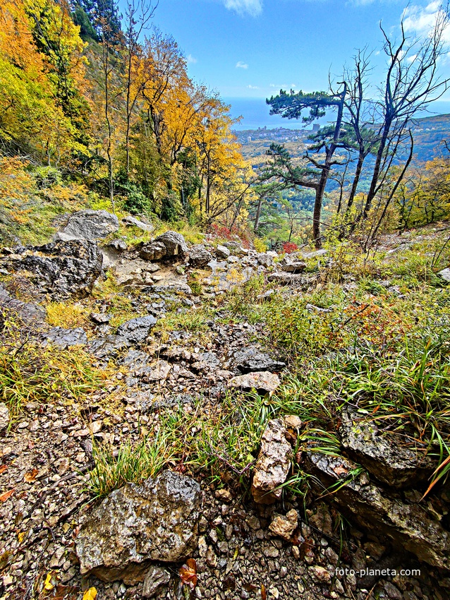 Пешеходный экологический маршрут "Штангеевская тропа" на территории Ялтинского горно-лесного заповедника. Вид от водопада перед Чёртовым мостом в сторону Ялты.