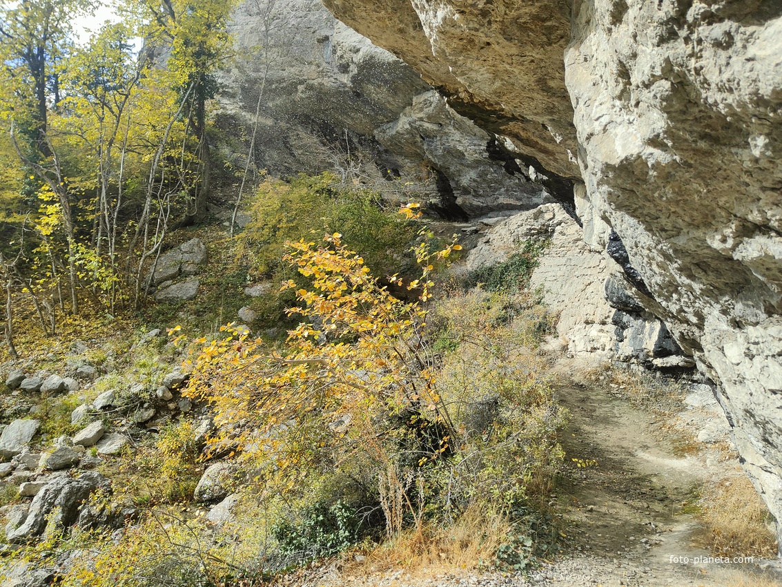 Пешеходный экологический маршрут "Штангеевская тропа" на территории Ялтинского горно-лесного заповедника. Водопад перед Чёртовым мостом.