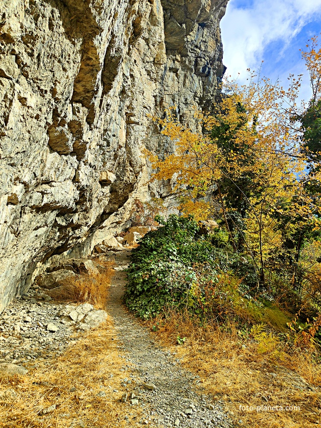 Скалистый обрыв южного склона Ялтинской яйлы вдоль экологического маршрута "Штангеевская тропа" на территории Ялтинского горно-лесного заповедника.