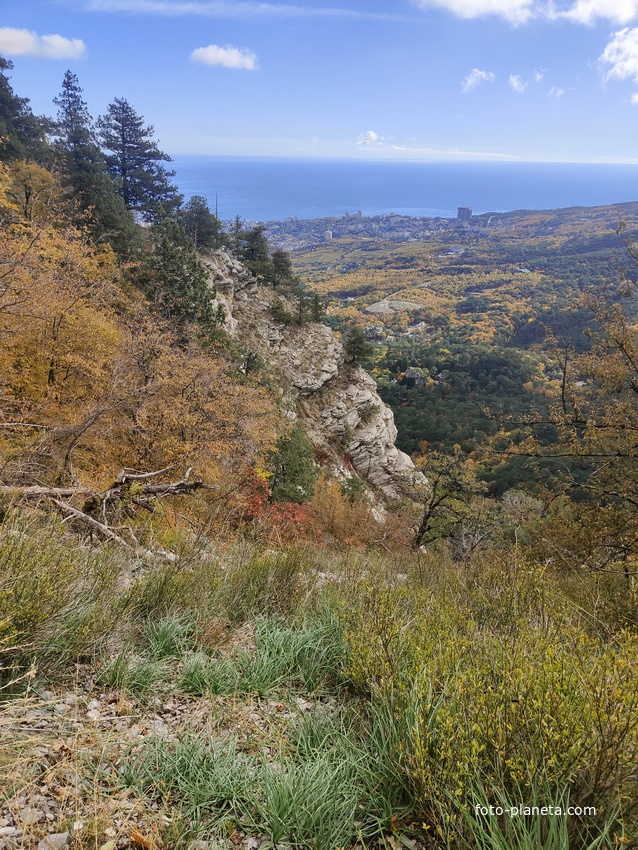 Скалистый обрыв южного склона Ялтинской яйлы вдоль экологического маршрута "Штангеевская тропа" на территории Ялтинского горно-лесного заповедника.