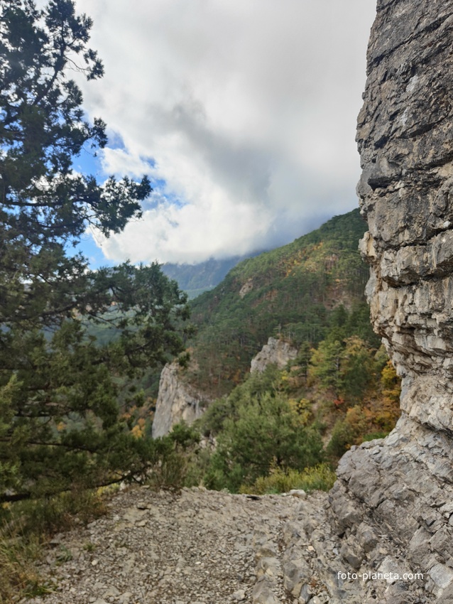 Скалистый обрыв южного склона Ялтинской яйлы вдоль экологического маршрута "Штангеевская тропа" на территории Ялтинского горно-лесного заповедника.
