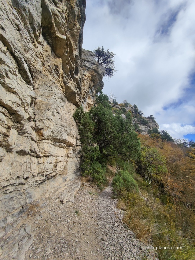 Скалистый обрыв южного склона Ялтинской яйлы вдоль экологического маршрута "Штангеевская тропа" на территории Ялтинского горно-лесного заповедника.