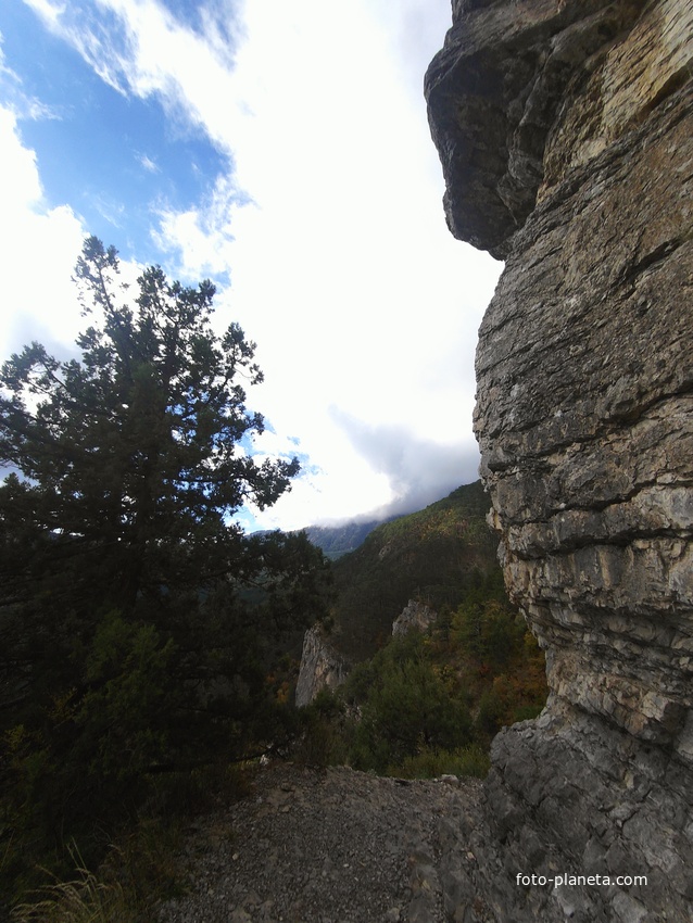 Скалистый обрыв южного склона Ялтинской яйлы вдоль экологического маршрута "Штангеевская тропа" на территории Ялтинского горно-лесного заповедника.