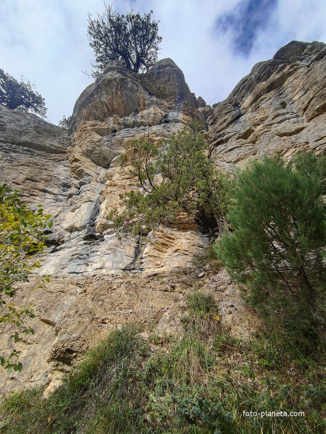 Скалистый обрыв южного склона Ялтинской яйлы вдоль экологического маршрута "Штангеевская тропа" на территории Ялтинского горно-лесного заповедника.