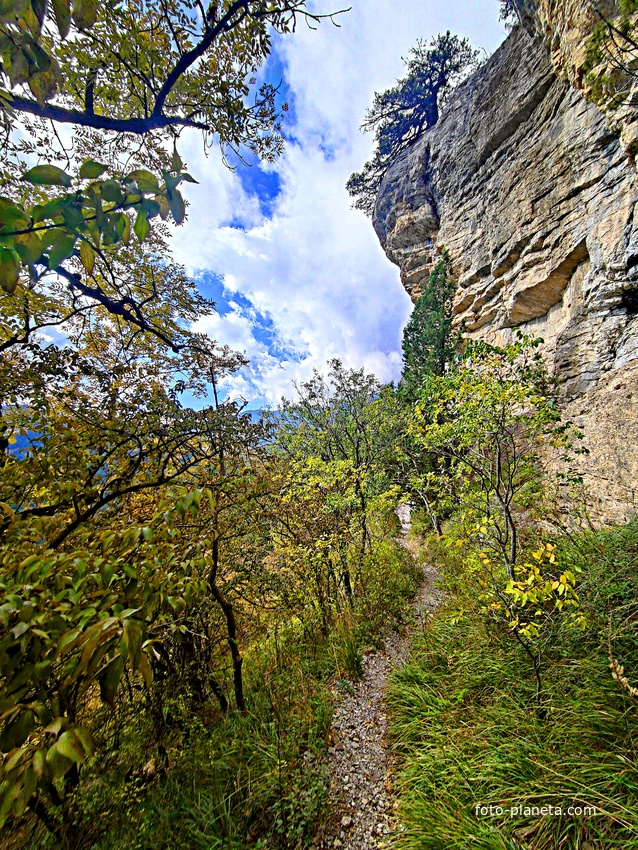 Скалистый обрыв южного склона Ялтинской яйлы вдоль экологического маршрута "Штангеевская тропа" на территории Ялтинского горно-лесного заповедника.