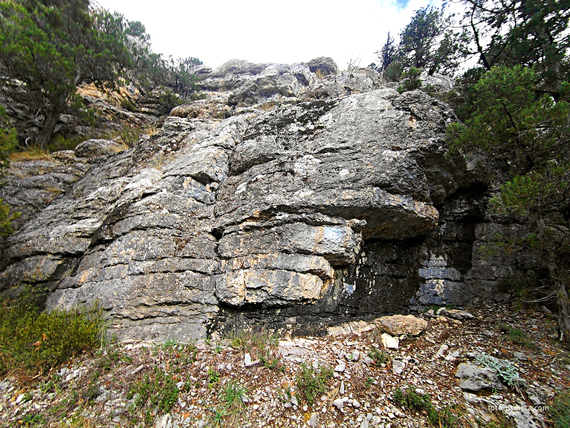 Скалистый обрыв южного склона Ялтинской яйлы вдоль экологического маршрута "Штангеевская тропа" на территории Ялтинского горно-лесного заповедника.