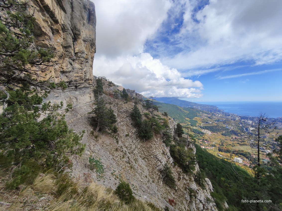Скалистый обрыв южного склона Ялтинской яйлы вдоль экологического маршрута "Штангеевская тропа" на территории Ялтинского горно-лесного заповедника. вид в сторону Ялты.