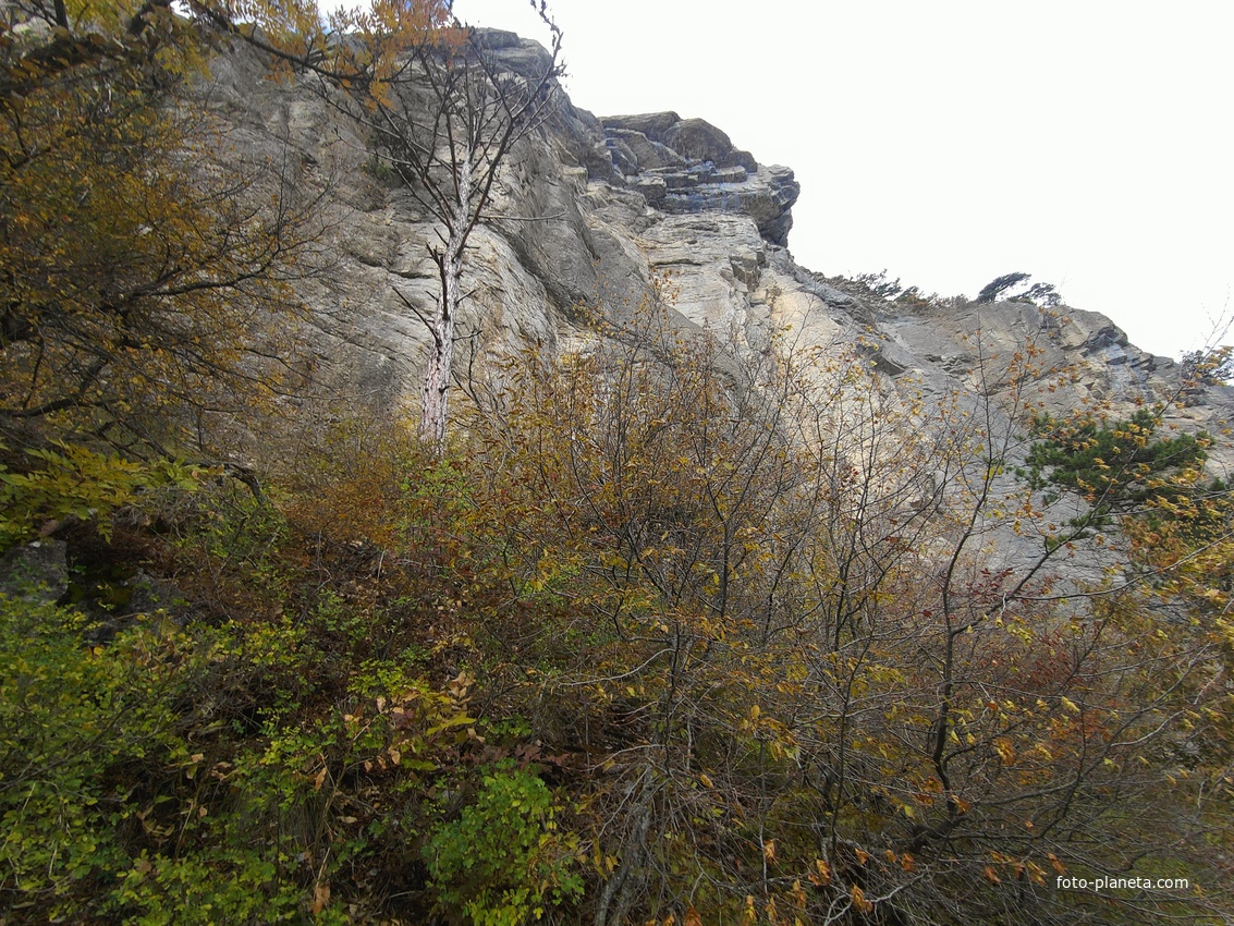 Скалистый обрыв южного склона Ялтинской яйлы вдоль экологического маршрута "Штангеевская тропа" на территории Ялтинского горно-лесного заповедника.