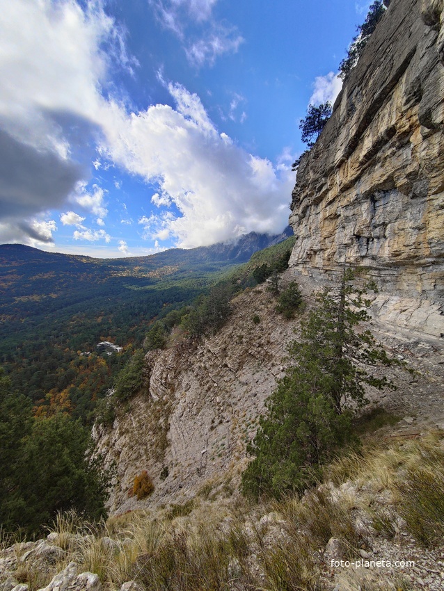 Скалистый обрыв южного склона Ялтинской яйлы вдоль экологического маршрута "Штангеевская тропа" на территории Ялтинского горно-лесного заповедника.